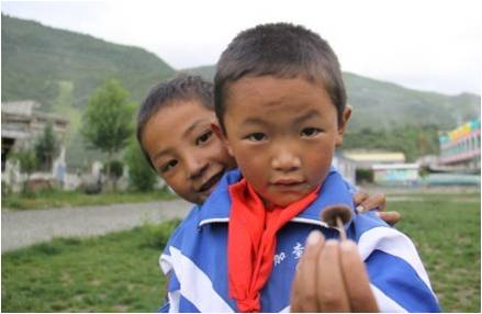 �ɂ�(g��)�W(xu��)���������(f��)����W(xu��)��֧���(du��)�T�����_(d��)�Ѻ����f��һֻСĢ�����挦(du��)�㌍(sh��)�ĺ��ӂ���֧���(du��)�T������ϣ���ǡ��������҂�������҂��������S��(sh��)����