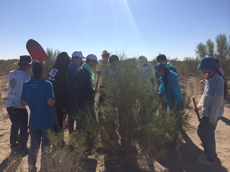 ������Ҫ��һ���ļ��ɺͽ�(j��ng)�(y��n)��ͬ�W(xu��)���_(k��i)ʼ������һƬ�����ַ��ز����^�m(x��)�����[�ص�����