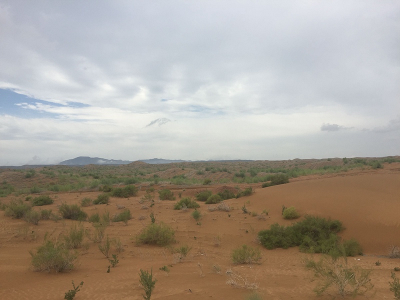 �v����ɳĮ�޾W(w��ng)������ݷ����ﲼ�M�[�d��ɳ��ֲ����