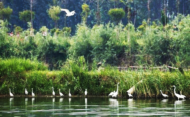 ͯԒ�ϼң���������Ԋ�����Ϙ���f����