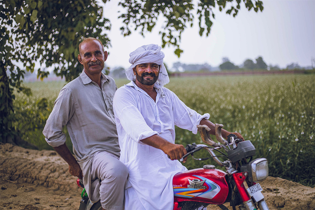 芝麻種植基地給當地人帶來更多就業(yè)機會。（人民網記者 薛丹攝）