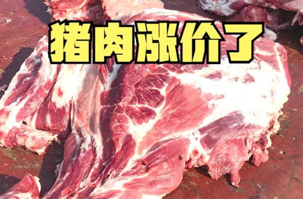 市场猪肉零售价格自2月下旬以来首次回升