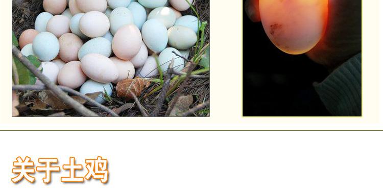 00 品种 土鸡蛋 用途 孵化 原产地 江苏 包装方式 食用农产品 重量 40